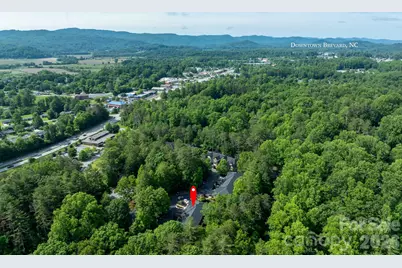 99 Ridgetop Circle #202, Brevard, NC 28712 - Photo 41