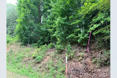 Tbd N Marley Ford Road, Ferguson, NC 28624 - Photo 23