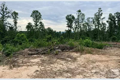 Tbd N Marley Ford Road, Ferguson, NC 28624 - Photo 17