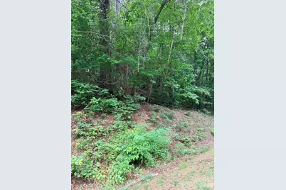 Tbd N Marley Ford Road, Ferguson, NC 28624 - Photo 1