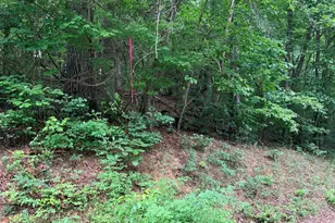 Tbd N Marley Ford Rd, Ferguson, NC 28624 - Photo 1