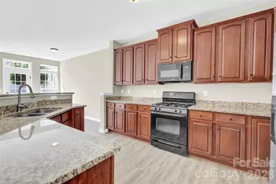 20528 Harbor View Drive, Cornelius, NC 28031 - Photo 13
