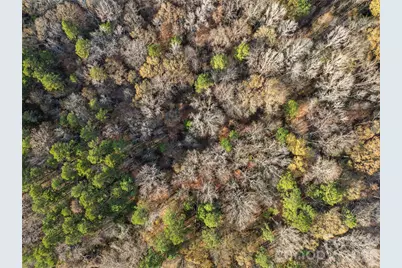 0000 Sandy Ford Road, Mount Holly, NC 28120 - Photo 7