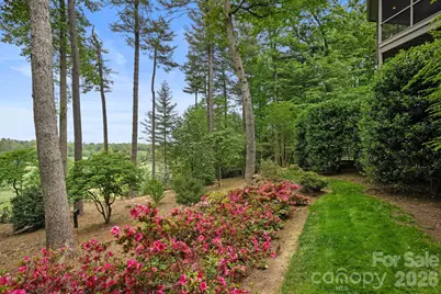 209 Pineholt Lane, Flat Rock, NC 28731 - Photo 45