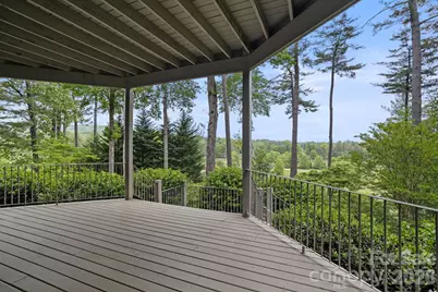 209 Pineholt Lane, Flat Rock, NC 28731 - Photo 43