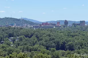 38 Lookout Rd, Asheville, NC 28804 - Photo 5