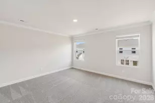 9009 Foggy Brook Loop, Charlotte, NC 28216 - Photo 9