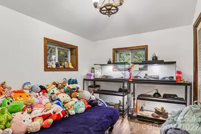 677 Mount Olivet Road, Zirconia, NC 28790 - Photo 13