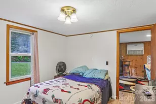 677 Mt Olivet Rd, Zirconia, NC 28790 - Photo 23