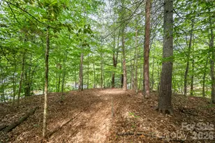 34 Wintercrest Dr, Candler, NC 28715 - Photo 9
