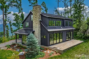 41 Windy Ridge Trail, Asheville, NC 28804 - Photo 3