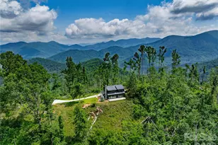 41 Windy Ridge Trail, Asheville, NC 28804 - Photo 37