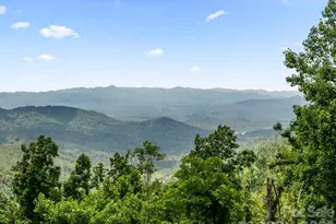 41 Windy Ridge Trail, Asheville, NC 28804 - Photo 35