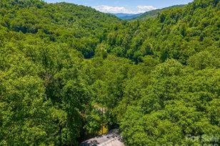 168 Grizzly Ridge, Sylva, NC 28779 - Photo 39