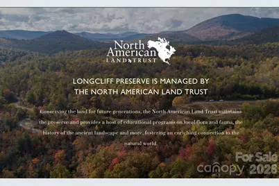 Lot 37 Longcliff Lane, Lake Toxaway, NC 28747 - Photo 13