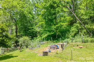 295 Richmond Rd, Bakersville, NC 28705 - Photo 21