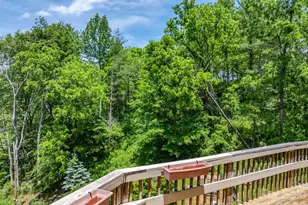 295 Richmond Rd, Bakersville, NC 28705 - Photo 19