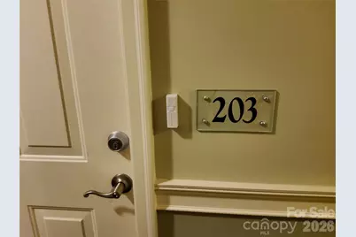155 S Lexington Avenue #203, Asheville, NC 28801 - Photo 13