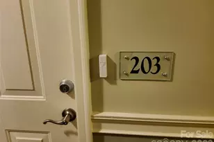 155 S Lexington Ave, Asheville, NC 28801 - Photo 13
