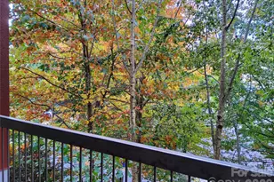 155 S Lexington Ave, Asheville, NC 28801 - Photo 31