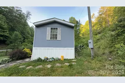 468 Long Branch Road, Green Mountain, NC 28740 - Photo 3