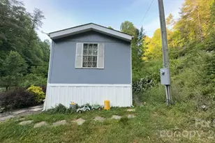 468 Long Branch Rd, Green Mountain, NC 28740 - Photo 3
