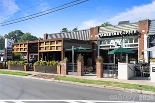 429 Pecan Ave, Charlotte, NC 28204 - Photo 41