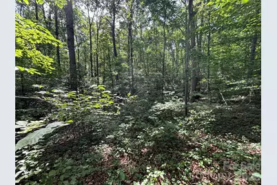 000 Goat Road, Catawba, NC 28609 - Photo 5