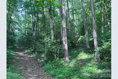 000 Goat Road, Catawba, NC 28609 - Photo 3