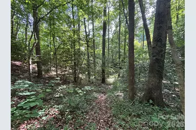 000 Goat Road, Catawba, NC 28609 - Photo 7