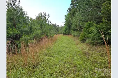0000 Shirley Road, Fort Lawn, SC 29714 - Photo 3