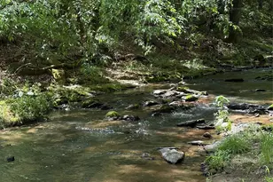8186 Old Nc Hwy 60 None, Roaring River, NC 28697 - Photo 33