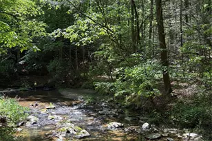 8186 Old Nc Hwy 60 None, Roaring River, NC 28697 - Photo 5