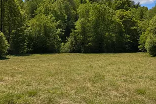 8186 Old Nc Hwy 60 None, Roaring River, NC 28697 - Photo 3