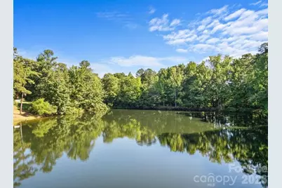 132 Rose Tree Lane, Fort Mill, SC 29715 - Photo 3