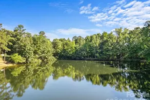 132 Rose Tree Ln, Fort Mill, SC 29715 - Photo 3