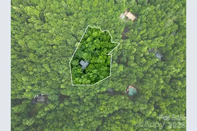 118 Little Bear Lane, Pisgah Forest, NC 28768 - Photo 43