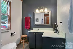118 Little Bear Ln, Pisgah Forest, NC 28768 - Photo 23