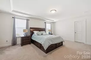 282 Bouchard Dr, Waxhaw, NC 28173 - Photo 17