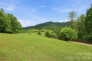 168 Barefoot Cv, Burnsville, NC 28714 - Photo 5