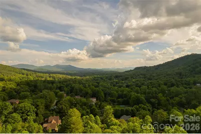 425 Sondley Woods Place, Asheville, NC 28805 - Photo 43