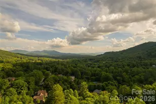 425 Sondley Woods Pl, Asheville, NC 28805 - Photo 43