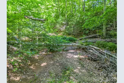 21 Wits End Trail, Swannanoa, NC 28778 - Photo 19