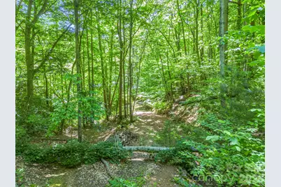 21 Wits End Trail, Swannanoa, NC 28778 - Photo 23