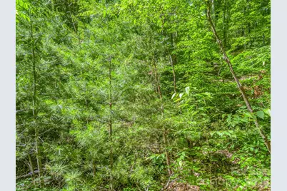 21 Wits End Trail, Swannanoa, NC 28778 - Photo 21