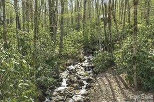 89 Stump Ln, Maggie Valley, NC 28751 - Photo 29