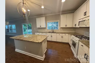 10921 Rousay Road, Charlotte, NC 28278 - Photo 3