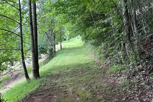 70 Heslar Way, Marshall, NC 28753 - Photo 15