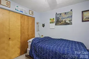 175 Pine Cove Ln, Alexander, NC 28701 - Photo 15
