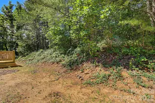 175 Pine Cove Ln, Alexander, NC 28701 - Photo 33